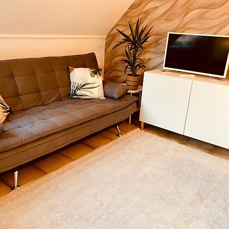 Living With Soul - Appartement Ueber Den Daechern Von Wiesbaden Luaran gambar